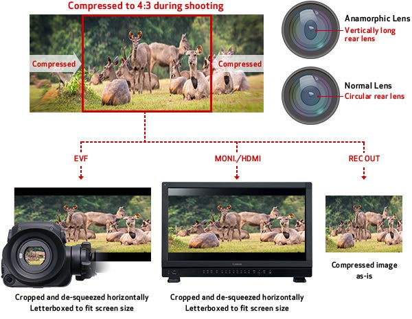 Anamorphic Lens Support